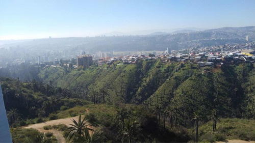 Arriendo Departamento 3D 2B 1E 1B Agua Santa - Vi&ntilde;a Del Mar