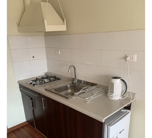 Arriendo Departamento NP 1D en suite 1B 1E La Boca - Conc&oacute;n