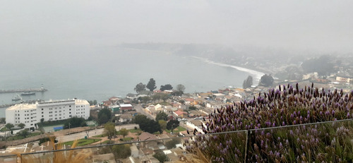 Venta Departamento NO 2D 1B 1E Costas de Montemar - Conc&oacute;n