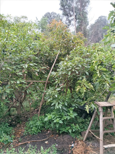 Venta Casa NO 5D 3B 1E 1B Miraflores - Vi&ntilde;a Del Mar