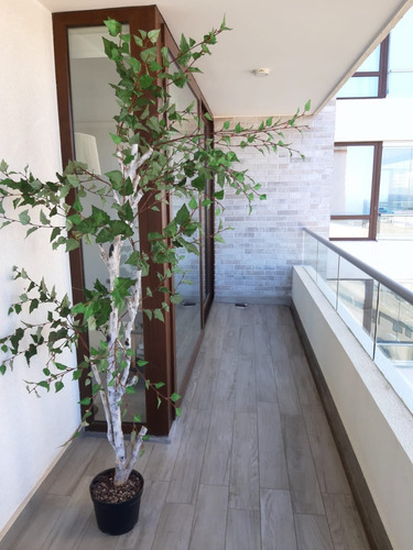 Arriendo Departamento SP 2D en suite Walk-in cl&oacute;set 2B 1E 1B Re&ntilde;aca - Vi&ntilde;a Del Mar