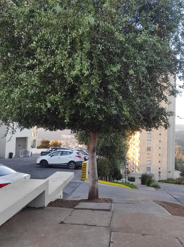 Arriendo Departamento P 2D en suite 2B 1E Re&ntilde;aca - Vi&ntilde;a Del Mar