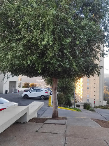 Arriendo Departamento P 2D en suite 2B 1E Re&ntilde;aca - Vi&ntilde;a Del Mar