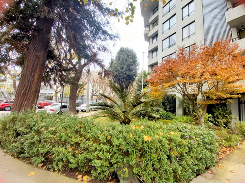 Arriendo Departamento NP 3D en suite 3B 1E 1B Libertad - Vi&ntilde;a Del Mar