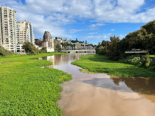 Arriendo Departamento N 3D en suite 3B 2E 1B Libertad - Vi&ntilde;a Del Mar
