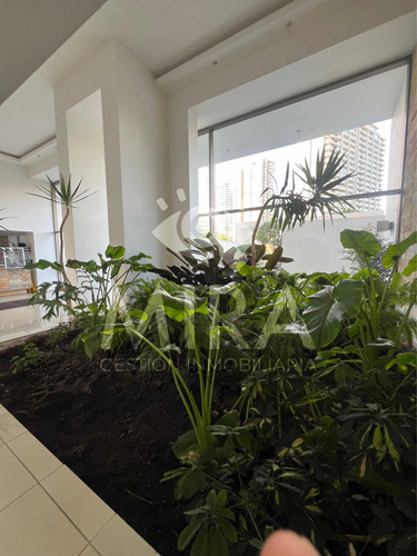 Arriendo Departamento 3D 3B 2E 1B Re&ntilde;aca - Vi&ntilde;a Del Mar