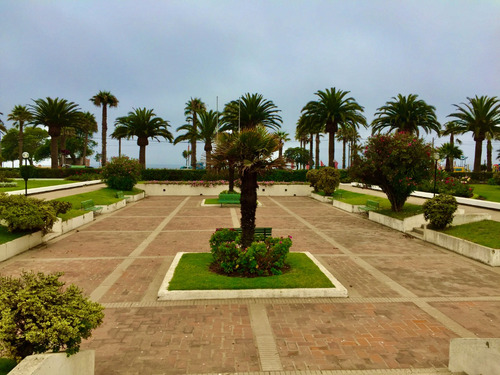 Venta Departamento NP 3D 2B 2E 1B Libertad - Vi&ntilde;a Del Mar