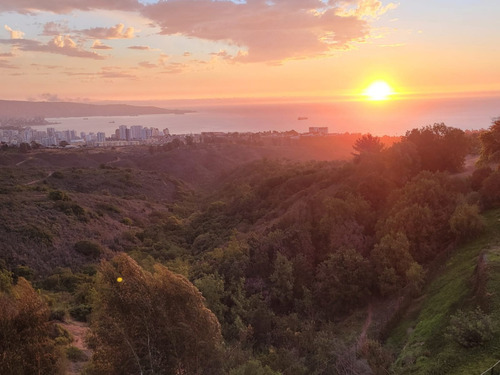 Venta Departamento NP 3D en suite 2B 1E 1B G&oacute;mez Carre&ntilde;o - Vi&ntilde;a Del Mar