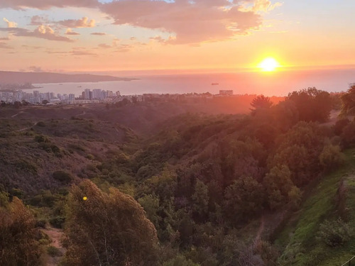 Venta Departamento NP 3D en suite 2B 1E 1B G&oacute;mez Carre&ntilde;o - Vi&ntilde;a Del Mar