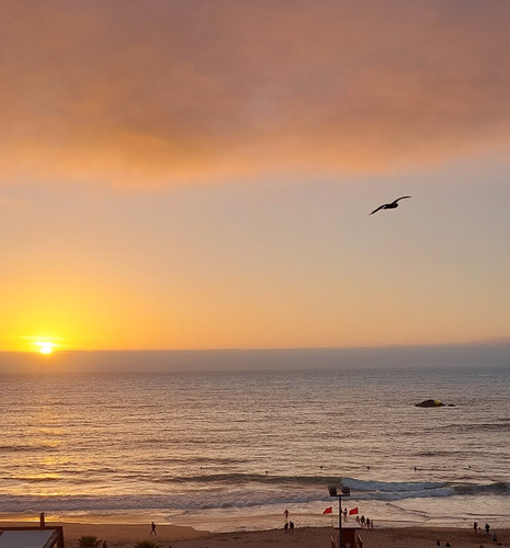 Venta Departamento 1D 1B Re&ntilde;aca - Vi&ntilde;a Del Mar