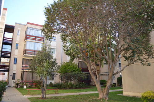 Venta Departamento O 2D en suite 2B 1E Quinta Vergara - Vi&ntilde;a Del Mar
