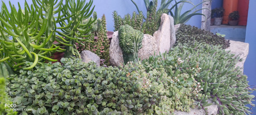 Venta Casa SO 3D 3B 1E 1B Miraflores - Vi&ntilde;a Del Mar