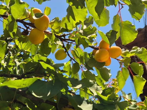 Venta Casa NP 3D 2B 3E 1B Playa Amarilla - Conc&oacute;n