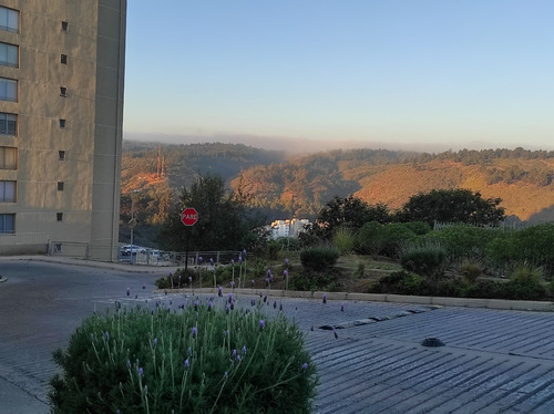 Arriendo Departamento P 2D en suite 2B 1E Re&ntilde;aca - Vi&ntilde;a Del Mar