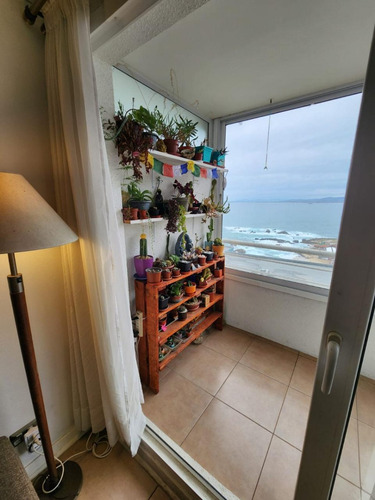 Arriendo Departamento NP 2D 2B 1E 1B Costas de Montemar - Conc&oacute;n
