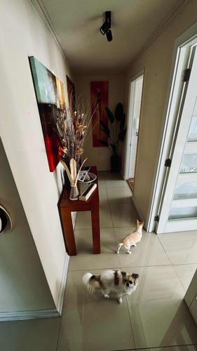 Venta Departamento 3D 2B 2E Centro de Vi&ntilde;a del Mar - Vi&ntilde;a Del Mar