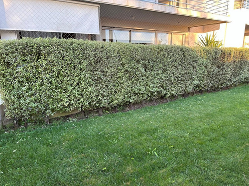 Venta Departamento 2D 2B 1B Re&ntilde;aca - Vi&ntilde;a Del Mar