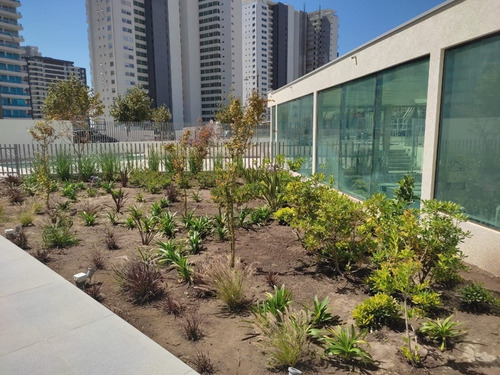 Arriendo Departamento NO 2D en suite 2B 1E 1B Costas de Montemar - Conc&oacute;n