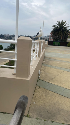 Arriendo Departamento 2D 2B 2E Higuerillas - Conc&oacute;n