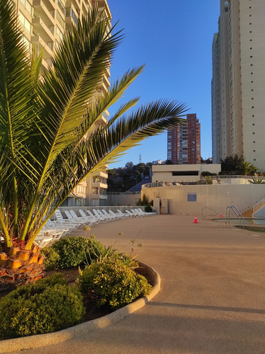 Arriendo Departamento P 2D en suite 2B 1E Re&ntilde;aca - Vi&ntilde;a Del Mar