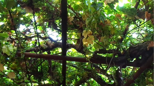 Venta Casa NO 5D 3B 1E 1B Miraflores - Vi&ntilde;a Del Mar