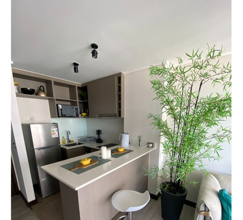 Arriendo Departamento 1D 1B Montemar - Conc&oacute;n