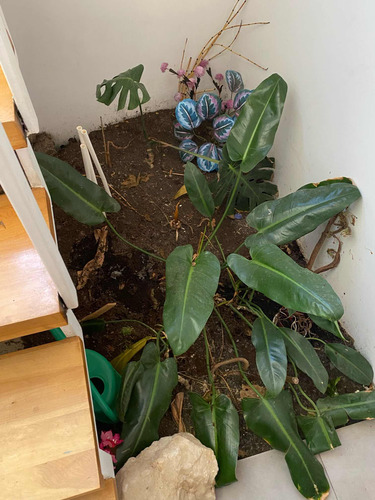 Venta Casa 3D 3B 2E Re&ntilde;aca - Vi&ntilde;a Del Mar