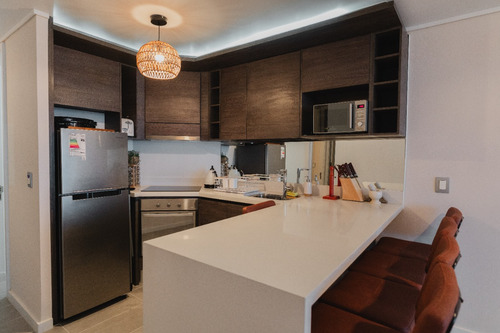 Arriendo Departamento P 3D en suite 2B 1E Higuerillas - Conc&oacute;n