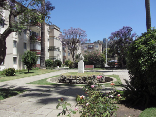 Arriendo Departamento SO 4D 2B 1E Quinta Vergara - Vi&ntilde;a Del Mar