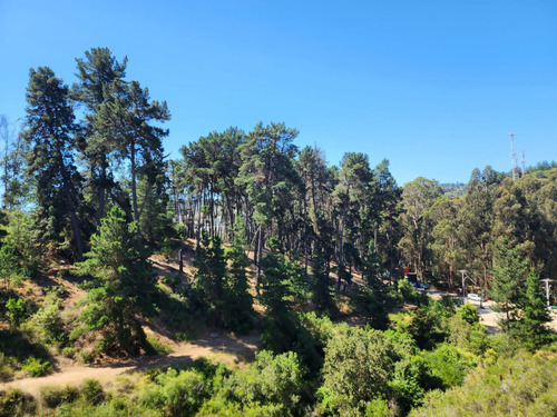 Arriendo Departamento O 2D en suite Walk-in cl&oacute;set 2B 1E Re&ntilde;aca - Vi&ntilde;a Del Mar