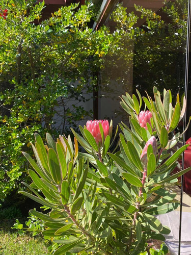 Venta Casa 6D 4B 2E 2B Re&ntilde;aca - Vi&ntilde;a Del Mar