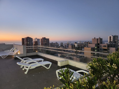 Arriendo Departamento NP 1D en suite 1B 1E 1B Libertad - Vi&ntilde;a Del Mar