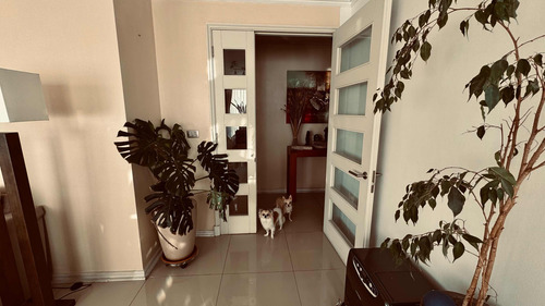 Venta Departamento 3D 2B 2E Centro de Vi&ntilde;a del Mar - Vi&ntilde;a Del Mar