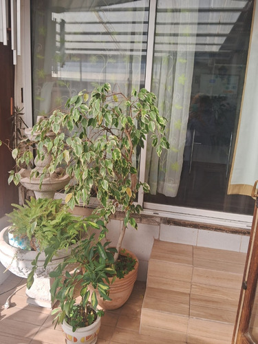 Arriendo Casa 3D 2B 2E 1B Chorrillos - Vi&ntilde;a Del Mar