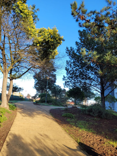 Venta Departamento N 3D 2B 1E 1B Montemar - Conc&oacute;n