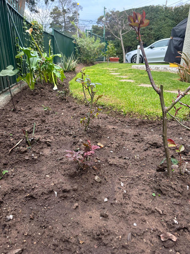 Venta Casa 3D 3B 3E Higuerillas - Conc&oacute;n