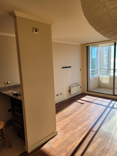 Arriendo Departamento NP 2D en suite 2B 2E 1B Re&ntilde;aca - Vi&ntilde;a Del Mar