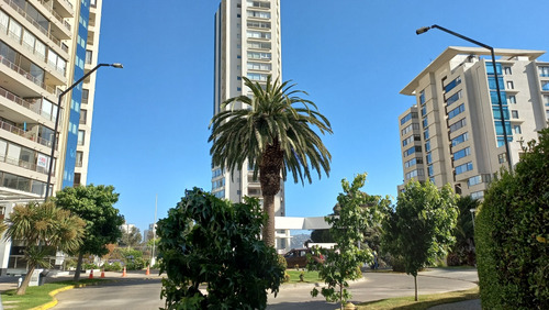 Venta Departamento 2D 2B 1E Libertad - Vi&ntilde;a Del Mar