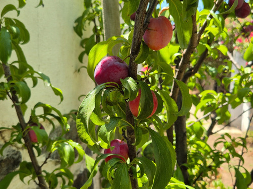 Venta Casa NP 3D 2B 3E 1B Playa Amarilla - Conc&oacute;n