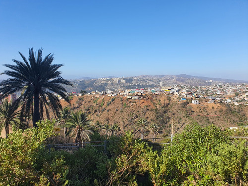 Arriendo Departamento 3D 2B 1E Agua Santa - Vi&ntilde;a Del Mar