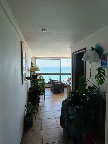 Arriendo Departamento NO 2D 1B 1E 1B Re&ntilde;aca - Vi&ntilde;a Del Mar