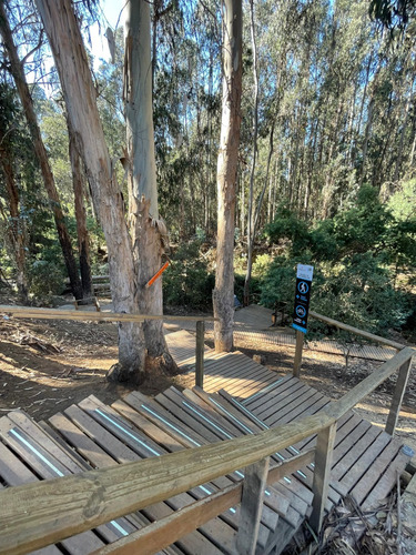 Arriendo Departamento N 2D en suite Walk-in cl&oacute;set 2B 1E Re&ntilde;aca - Vi&ntilde;a Del Mar