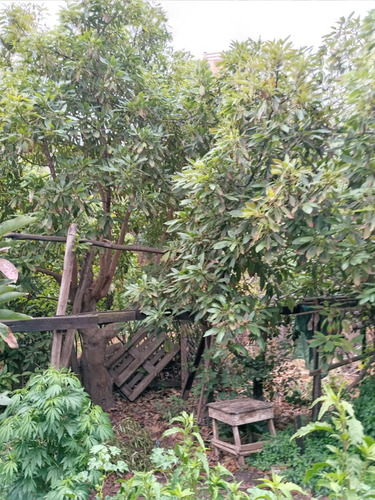 Venta Casa NO 5D 3B 1E 1B Miraflores - Vi&ntilde;a Del Mar