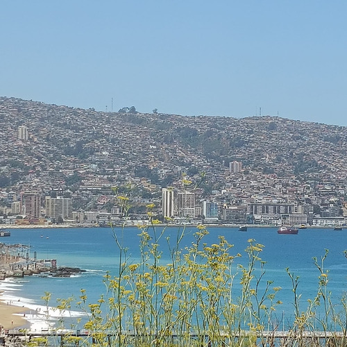 Venta Departamento SP 5D en suite Walk-in cl&oacute;set 3B 1E 1B Recreo - Vi&ntilde;a Del Mar