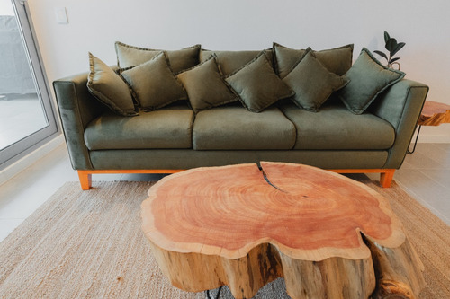 Arriendo Departamento P 3D en suite 2B 1E Higuerillas - Conc&oacute;n