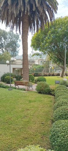 Arriendo Departamento 3D 2B 1E 1B Re&ntilde;aca - Vi&ntilde;a Del Mar