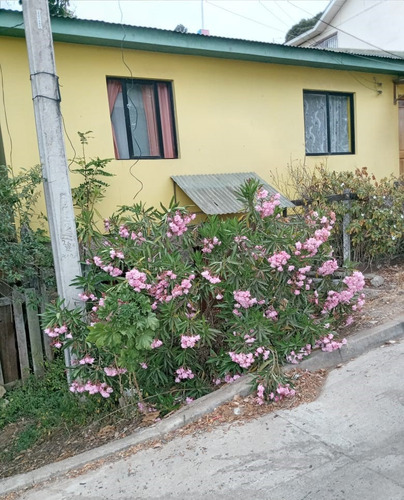 Venta Casa NO 5D 3B 1E 1B Miraflores - Vi&ntilde;a Del Mar