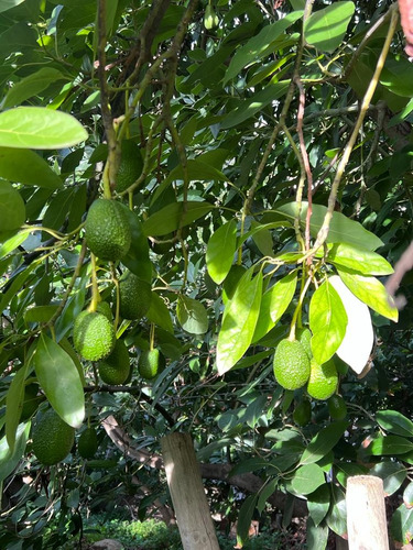 Venta Casa 6D 2B 4E Chorrillos - Vi&ntilde;a Del Mar