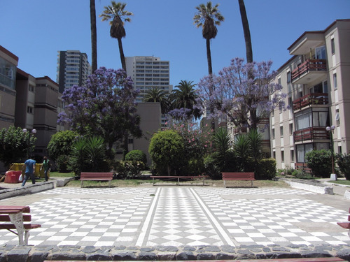 Arriendo Departamento SO 4D 2B 1E Quinta Vergara - Vi&ntilde;a Del Mar