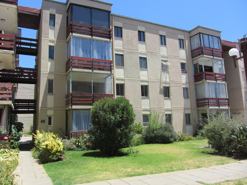 Arriendo Departamento SO 4D 2B 1E Quinta Vergara - Vi&ntilde;a Del Mar